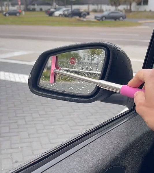 Retractable Mirror Squeegee