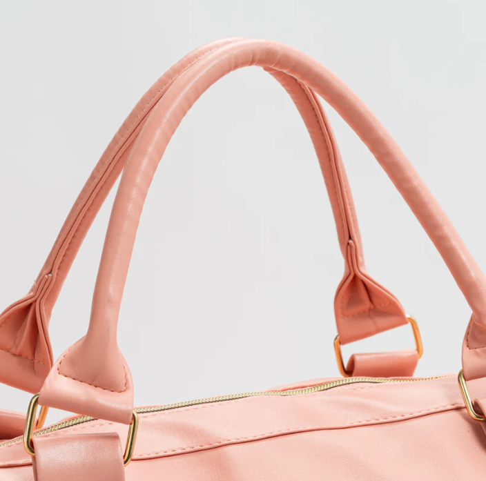 Swift Suit Bag